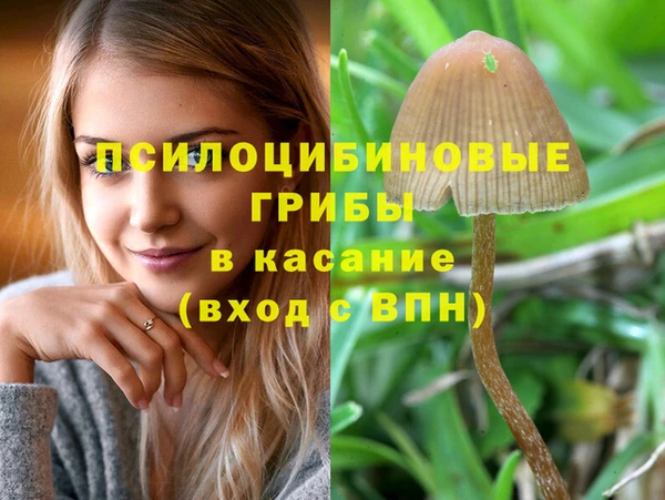 гашиш Алексеевка