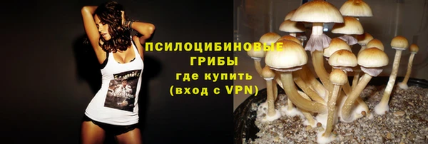 ешки Алзамай