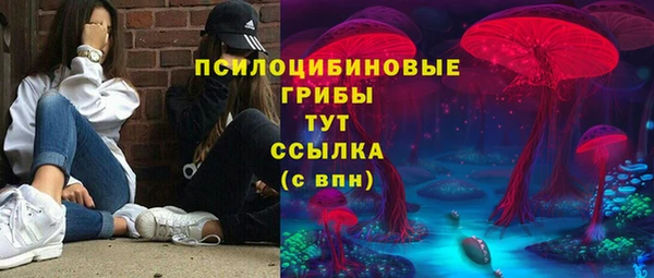 дживик Алексин