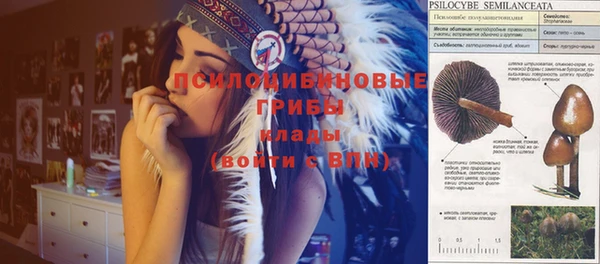 ешки Алзамай