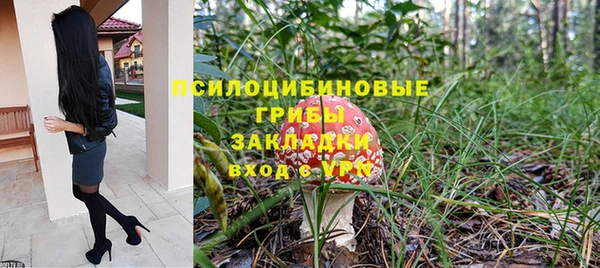 ешки Алзамай