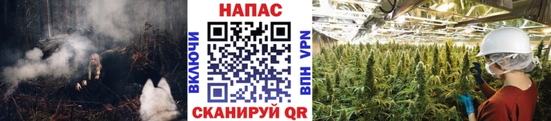 Бошки Шишки OG Kush  Лысьва 